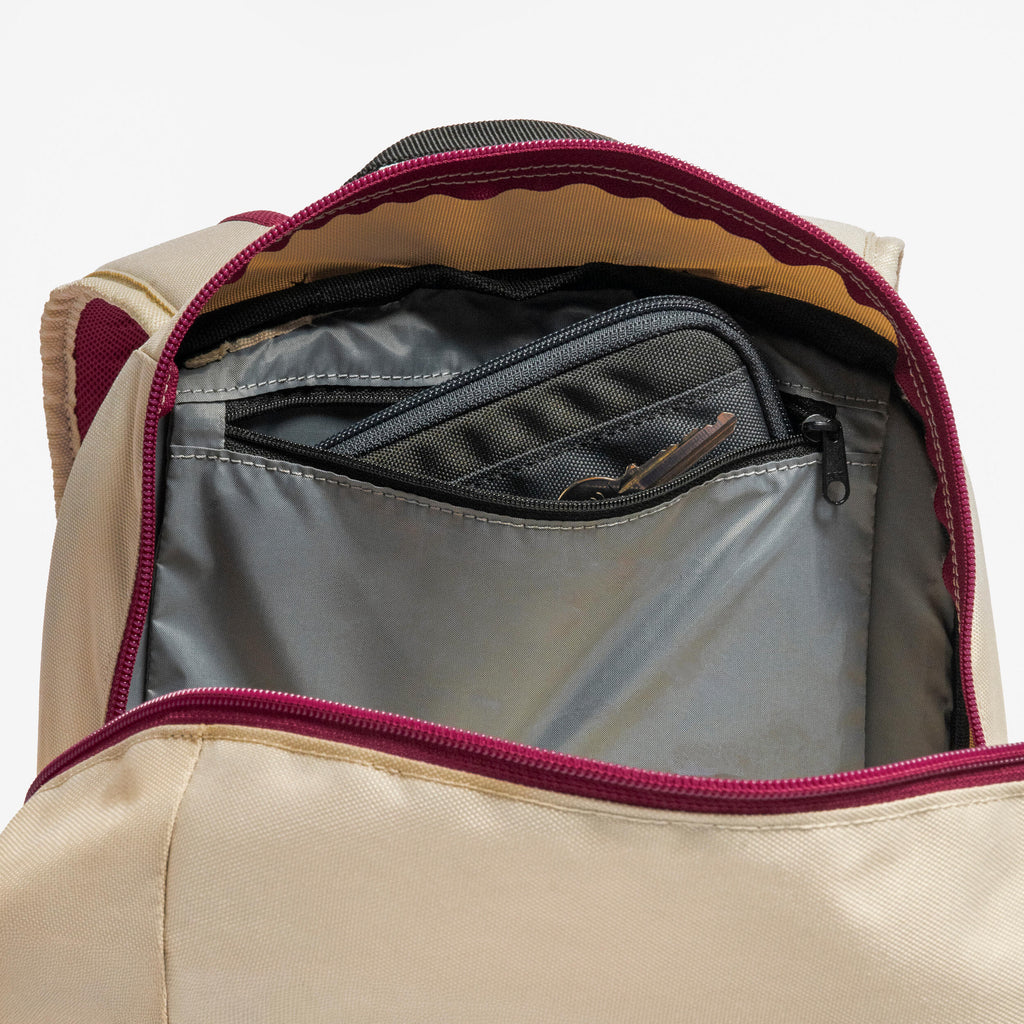 Quechua 100 Arpenaz 20L Hiking Backpack